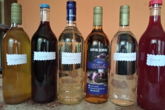 biram-domace-sabacsokovi-sirupi-lekoviti-bilje-voce-povrce-zdravo-ukusno-starinski-mojabaza-1