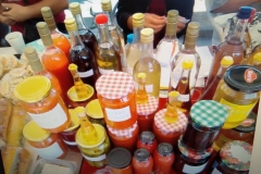 biram-domace-sabacsokovi-sirupi-lekoviti-bilje-voce-povrce-zdravo-ukusno-starinski-mojabaza-4