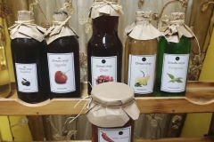 jastrebacka-prica-sokovi-sirupi-nektari-voce-zdravo-domace-ukusno-imunitet-zdravlje-mojabaza-2