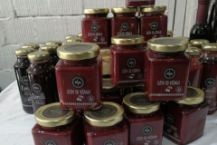 jastrebacka-prica-sokovi-sirupi-nektari-voce-zdravo-domace-ukusno-imunitet-zdravlje-mojabaza-5