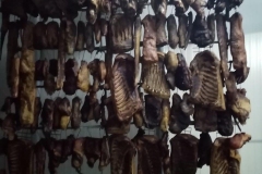 mesara-djumic-surduk-klica-zdravo-domace-hrana-meso-kvalitet-klanica-pecenje-svinjetina-junetina-slanina-polutke-mojabaza101