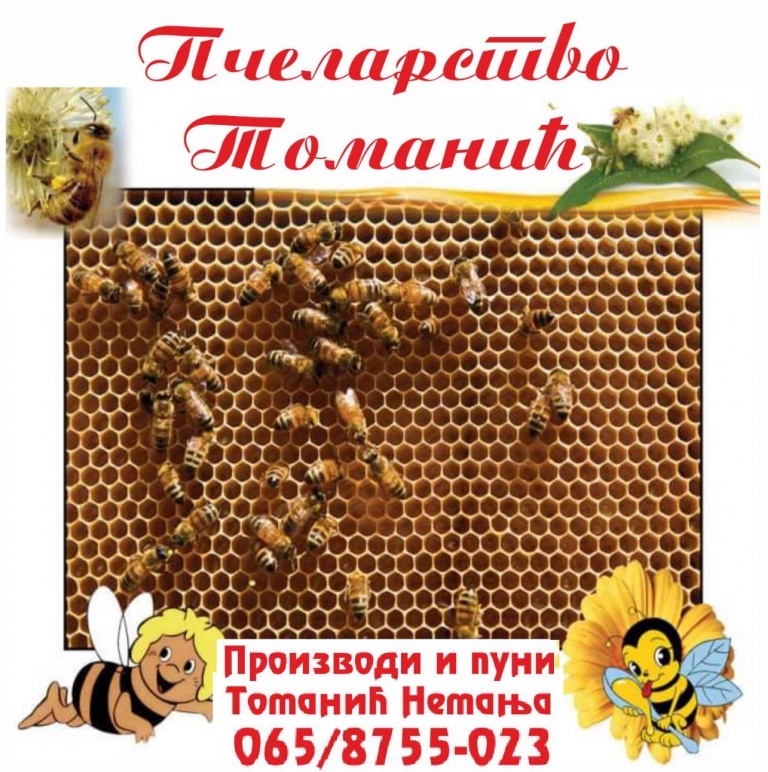 Pčelarstvo Tomanić med honey serbia healthy good domace zdravo imunitet hrana medni pcelinji bagremov livadski sumski slatkis mlec polen propolis obrenovac moja baza
