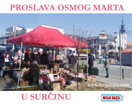 osmi mart 2021 proslava surcin centar beograd srbija mojabaza 1
