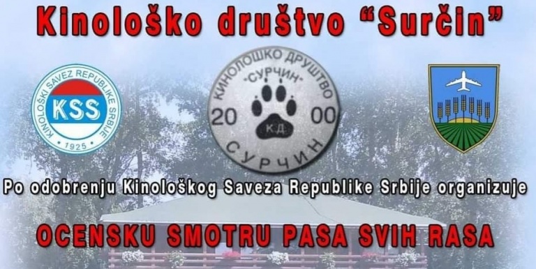 most beautiful serbian dogs competition dogloverseurope srbija smotra najlepsi psi odgoj uzgoj pasa kinolosko drustvo srbije nauticko selo biser boljevci surcin mojabaza