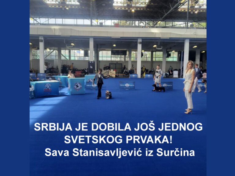 !worlddogshow-croatia-2024-junior-hendling-sava-surcin-najlepsi-pas-svetska-izlozba-pasa-zagreb-svetskiprvak-mojabaza-1