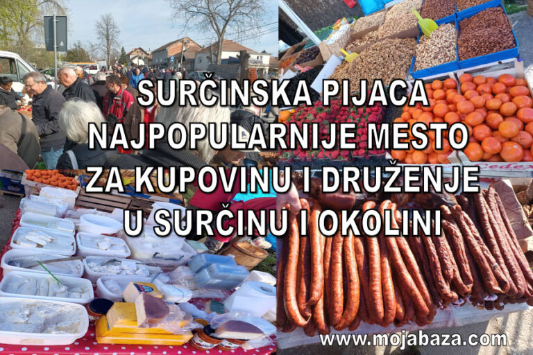 !1A-SURCIN-SURCIN-PIJACA-gdekupiti-HRANA-wheretobuy-FOOD-SERBIA-LOCAL-MARKET-mojabaza-business-platform1