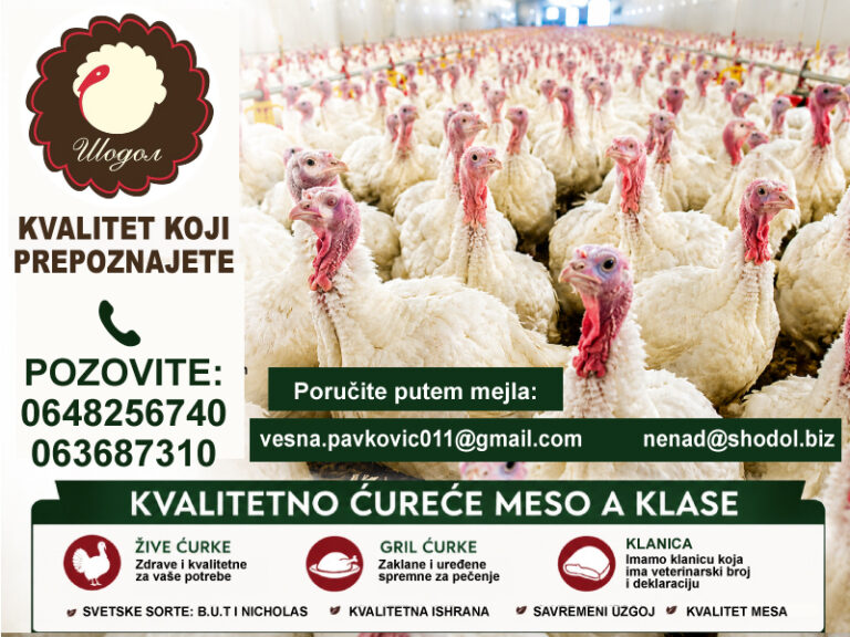 !1a šodol farma ćurke proizvodnja food turkee zivina perad meso kvalitet zdravo domace zarestoran ukusno samalokalorija mojabazacom 1